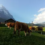 Bärgblick Grindelwald