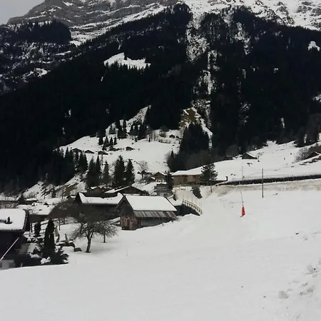 Apartment Baergblick Grindelwald