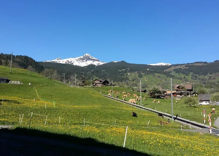 Baergblick Гриндельвальд