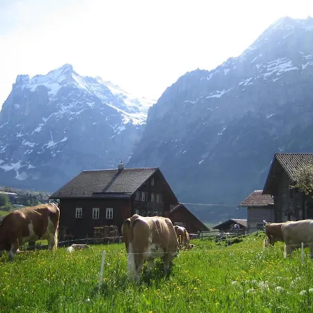 Appartement Baergblick