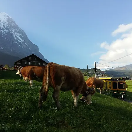 Baergblick Grindelwald