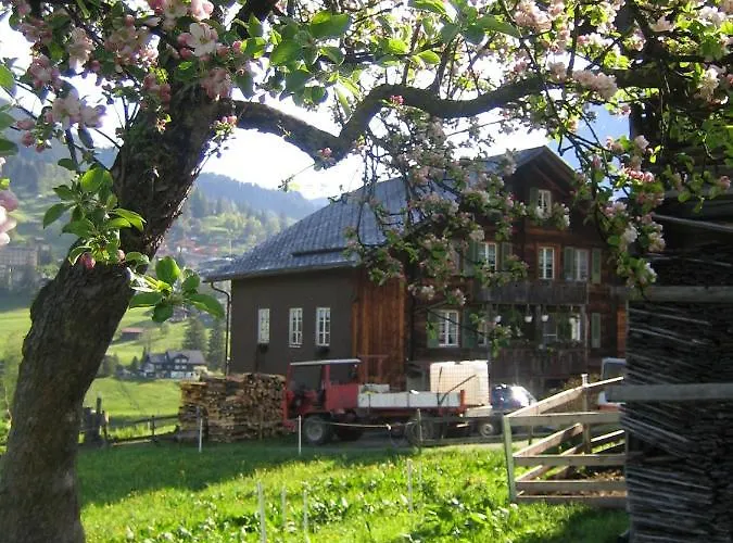 바르그블리크 *