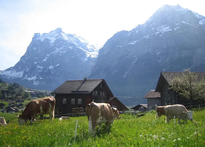 아파트 바르그블리크