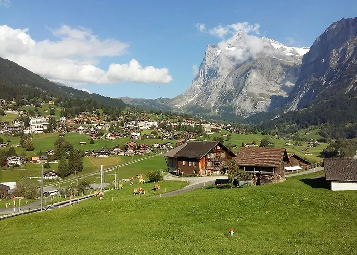 바르그블리크 * 그린델발트